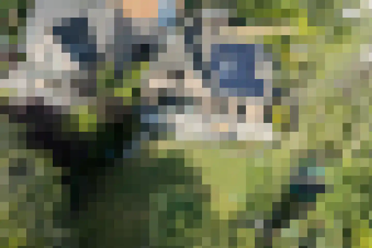 Boomgaard 3 Drimmelen thumbnail 66