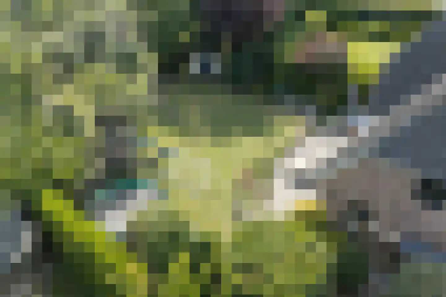 Boomgaard 3 Drimmelen thumbnail 67