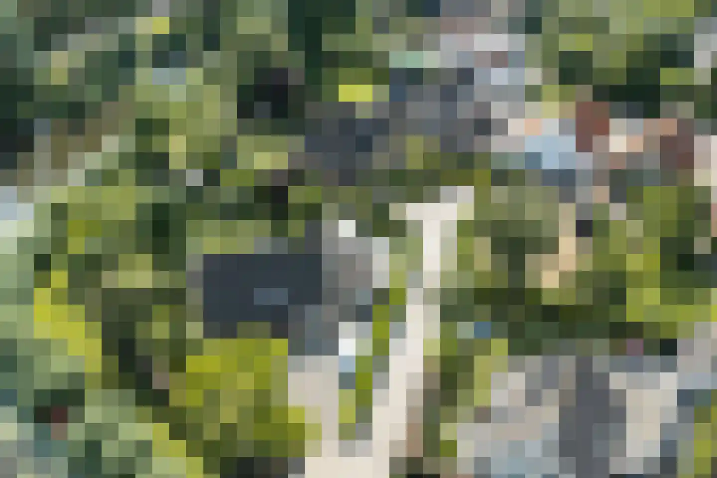 Boomgaard 3 Drimmelen thumbnail 68