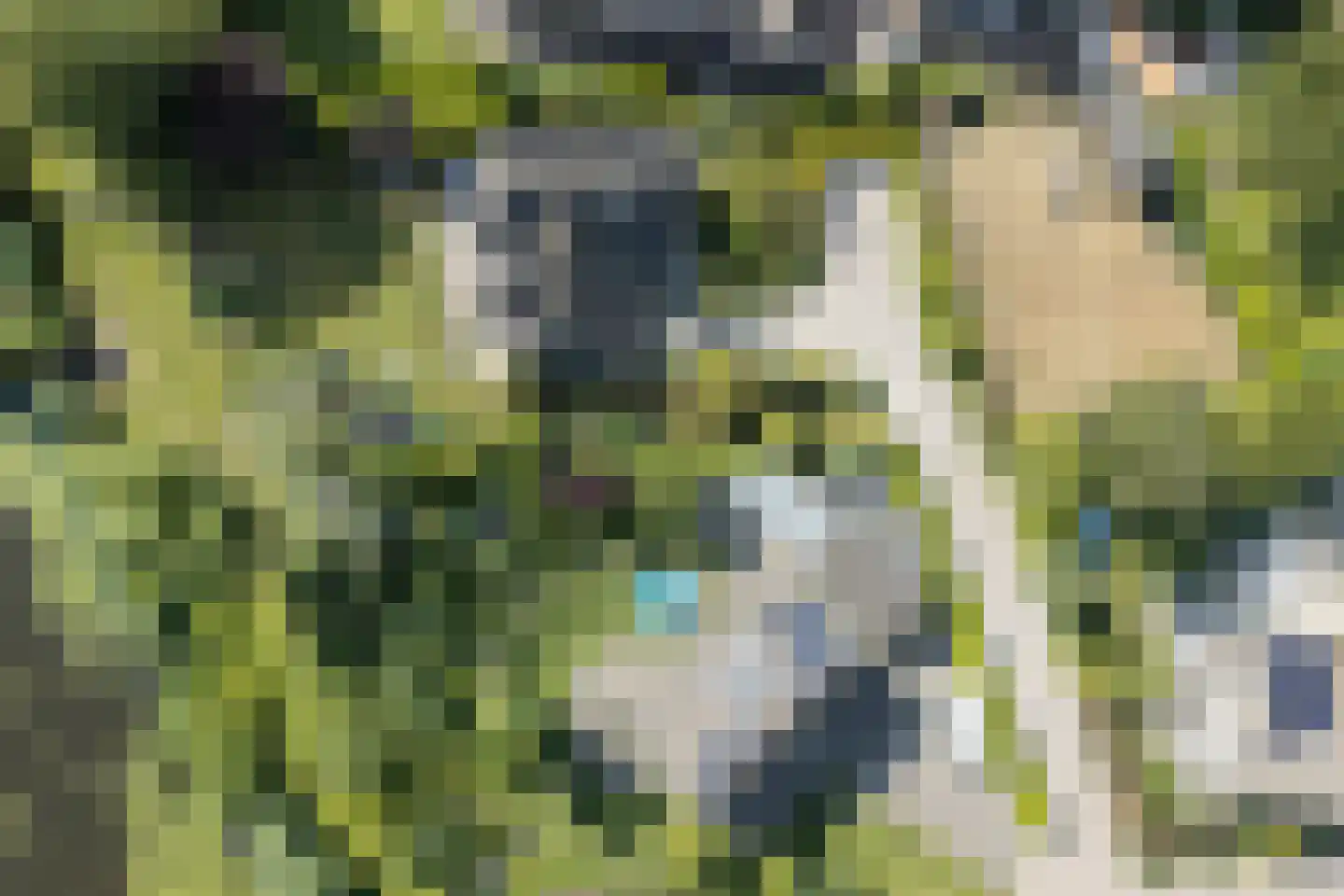 Boomgaard 3 Drimmelen thumbnail 69
