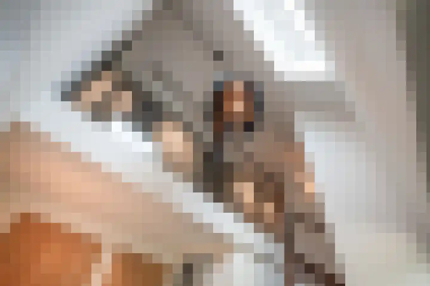 Boomgaard 3 Drimmelen thumbnail 7
