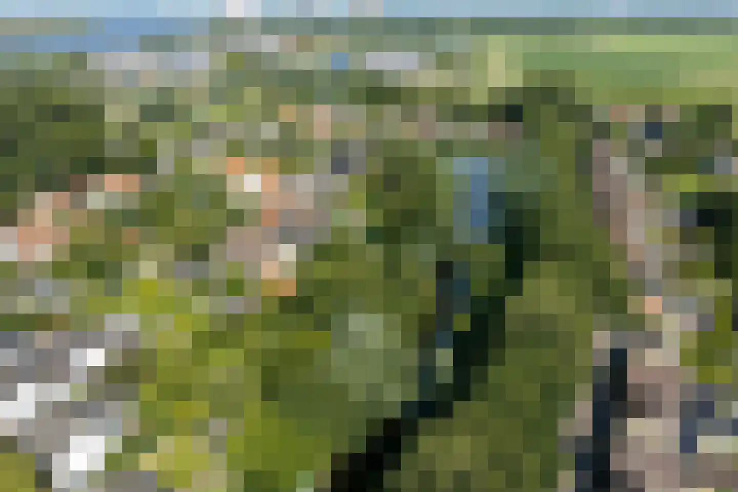 Boomgaard 3 Drimmelen thumbnail 72