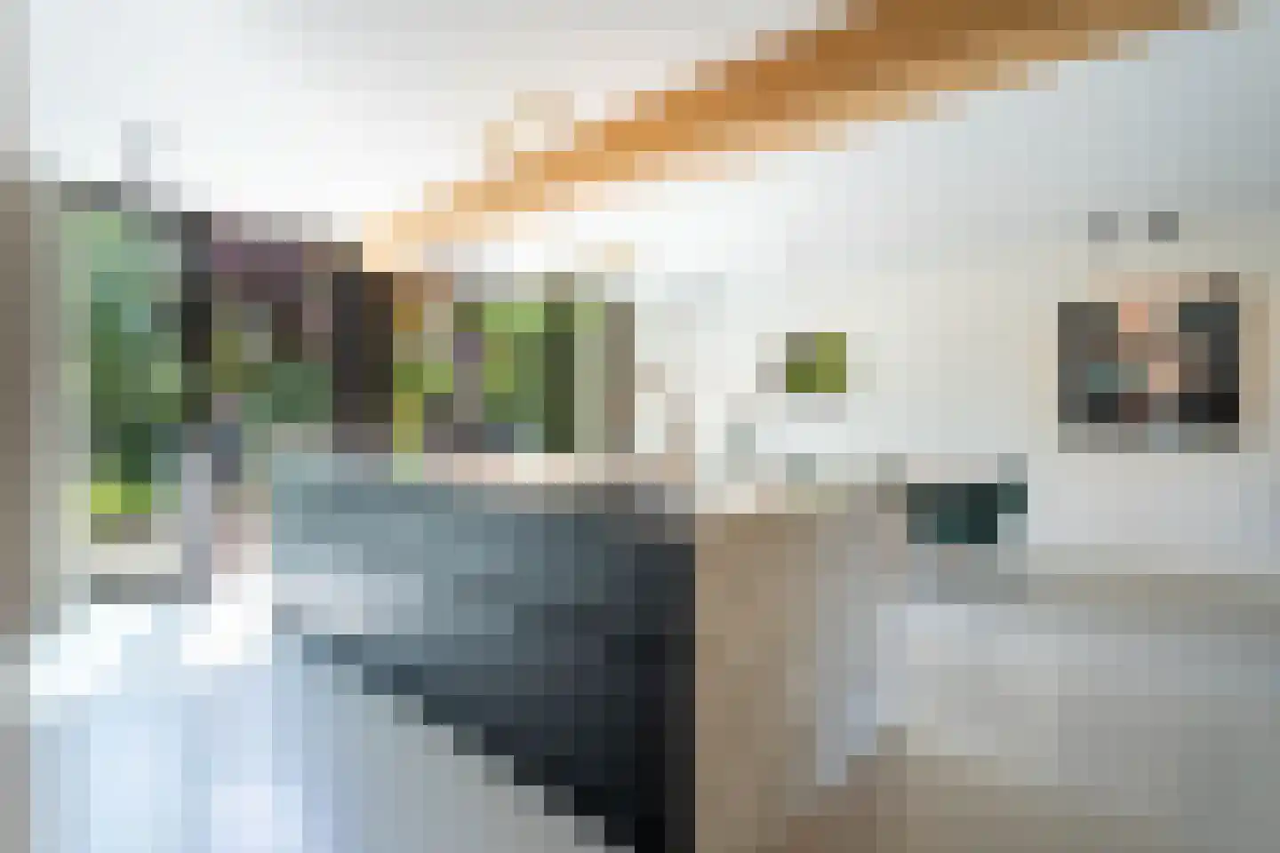 Boomgaard 3 Drimmelen thumbnail 9