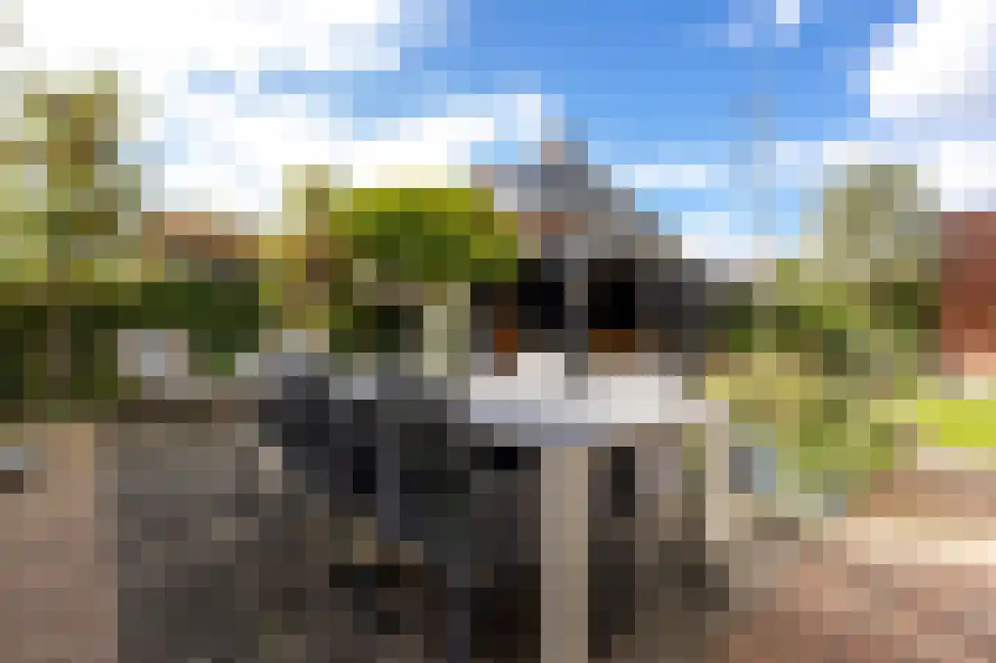 Boomgaard 3 Nieuwendijk thumbnail 12