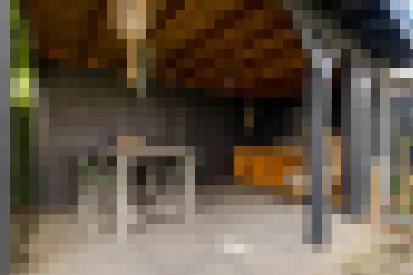 Boomgaard 3 Nieuwendijk thumbnail 13