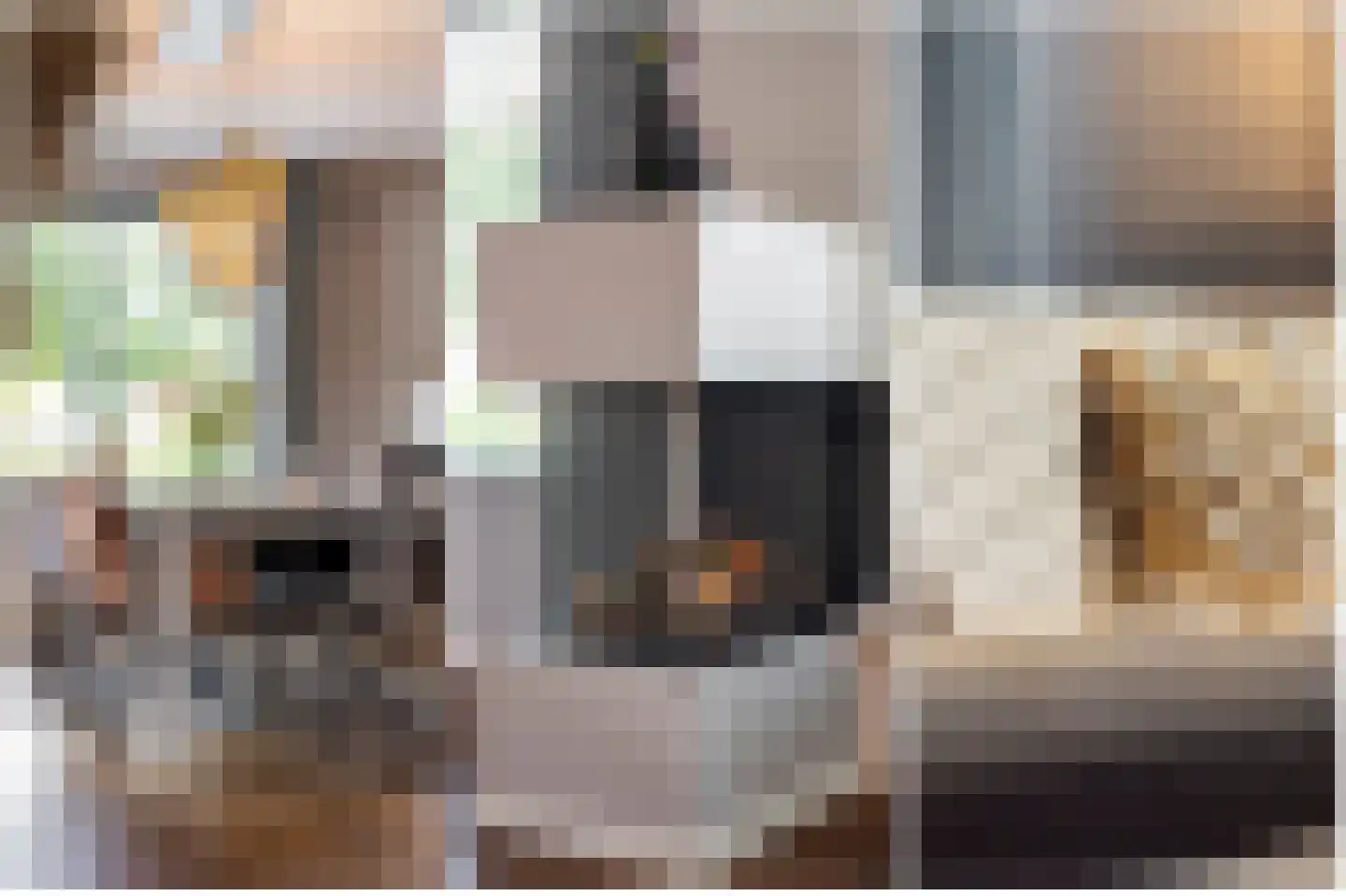Boomgaard 3 Nieuwendijk thumbnail 29