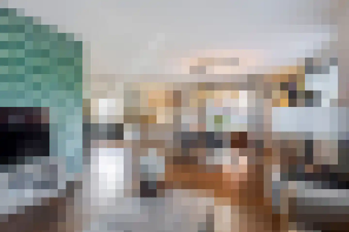 Boomgaard 3 Nieuwendijk thumbnail 30