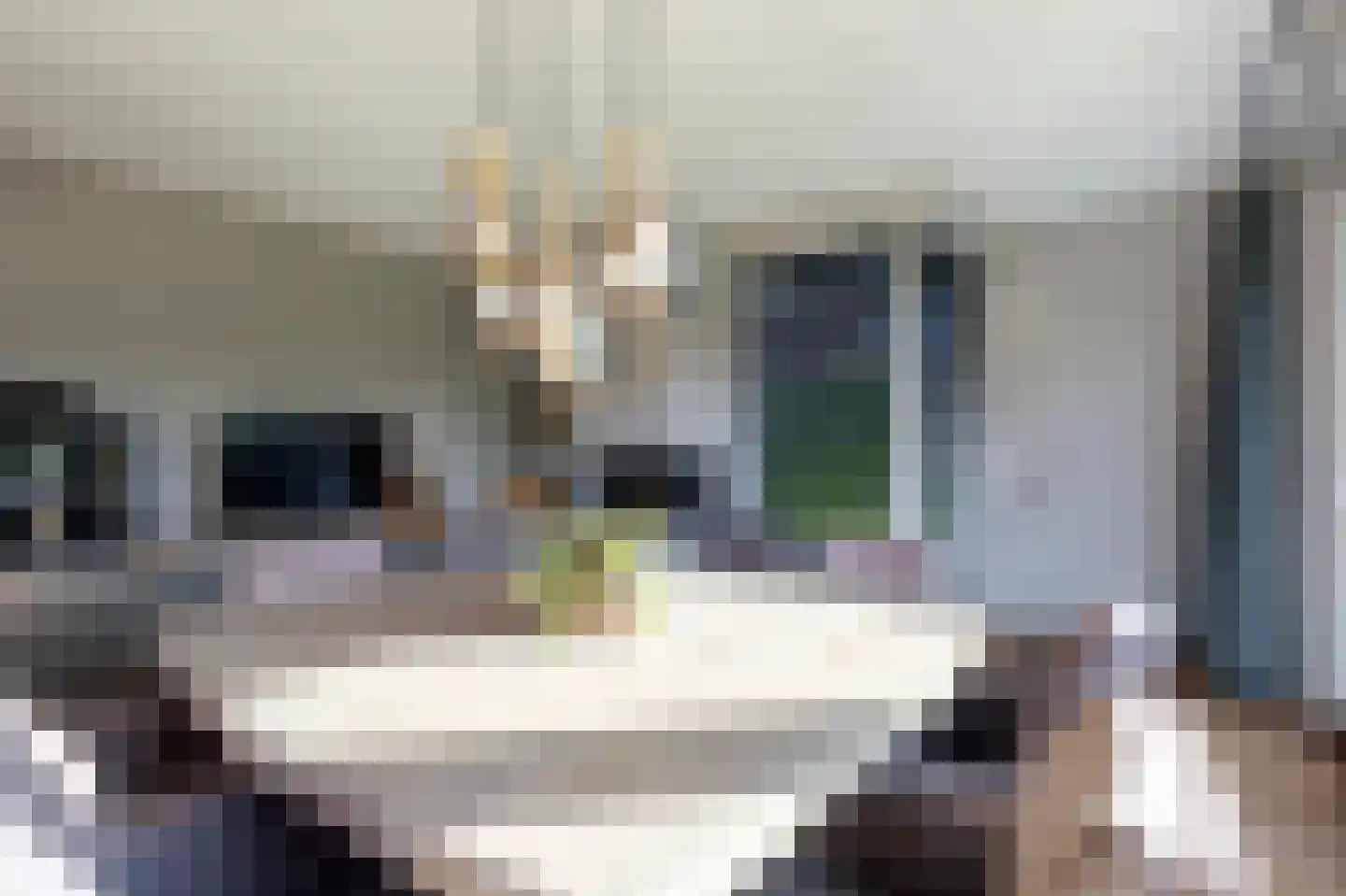 Boomgaard 3 Nieuwendijk thumbnail 46