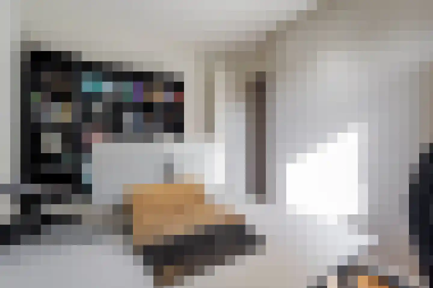 Boomgaard 3 Nieuwendijk thumbnail 49