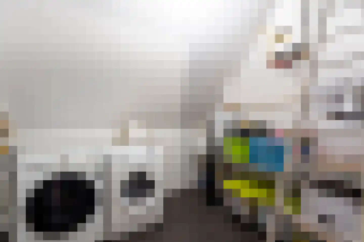 Boomgaard 3 Nieuwendijk thumbnail 52