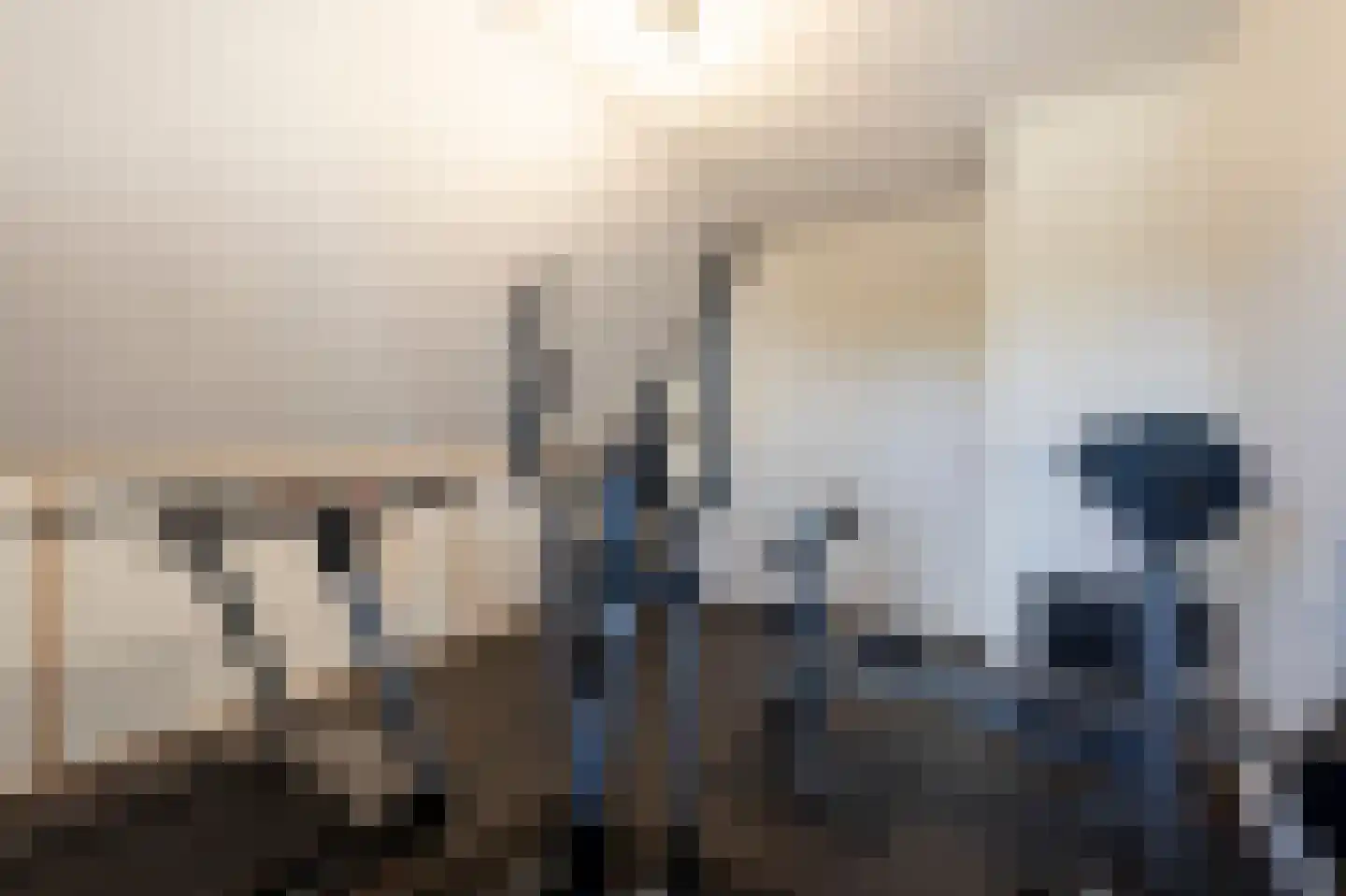 Boomgaard 3 Nieuwendijk thumbnail 60