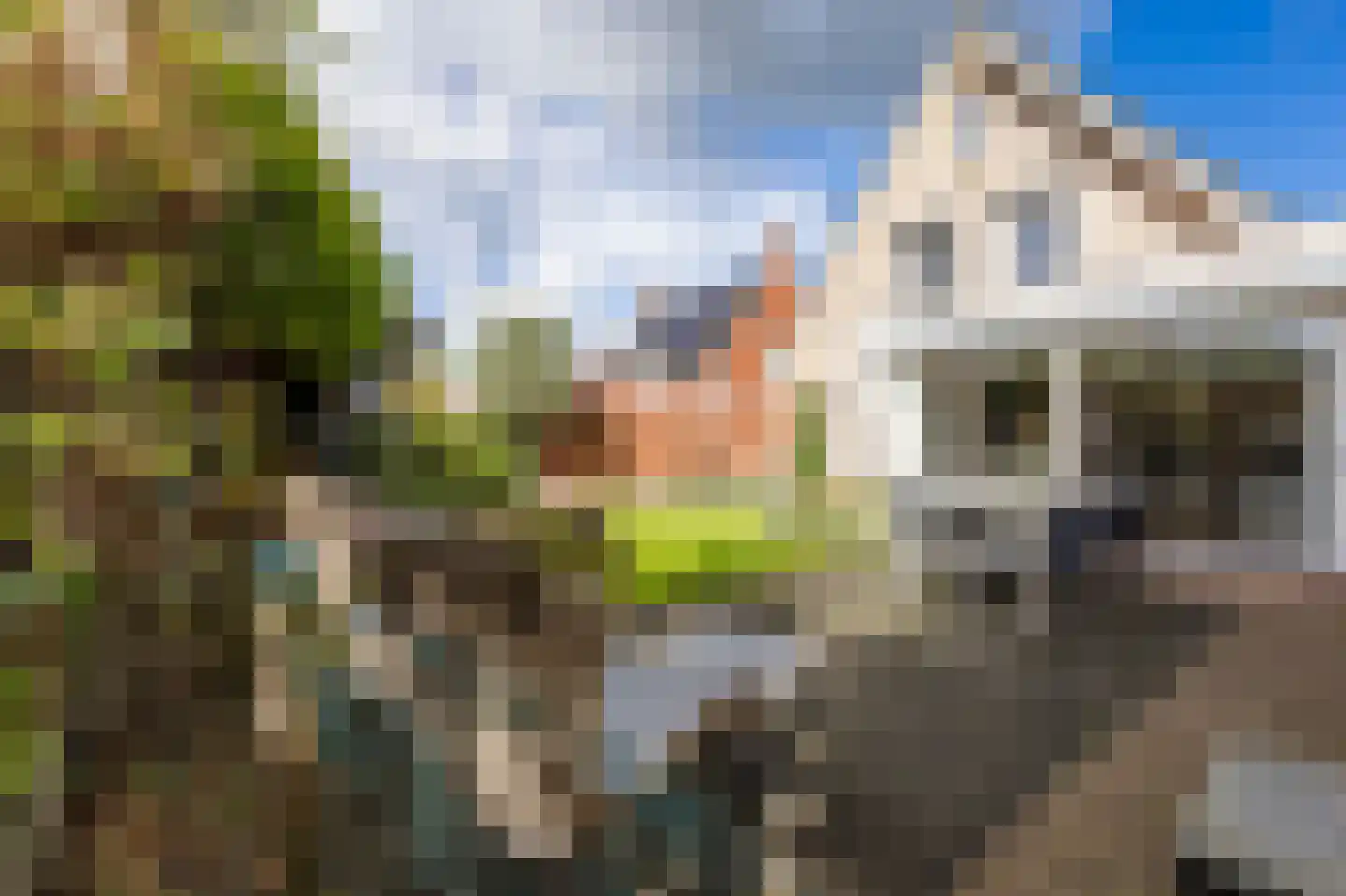 Boomgaard 3 Nieuwendijk thumbnail 63