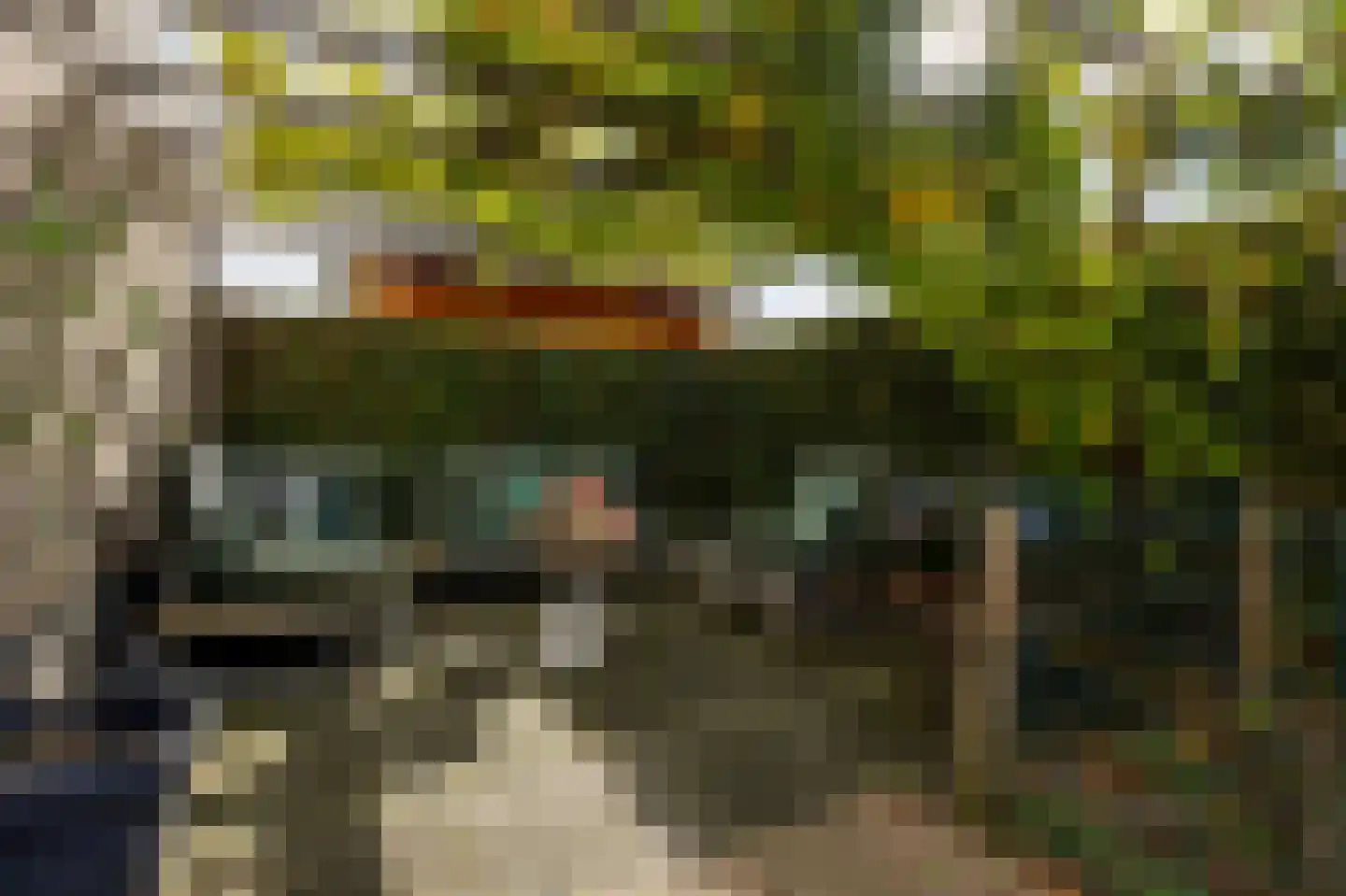 Boomgaard 3 Nieuwendijk thumbnail 65