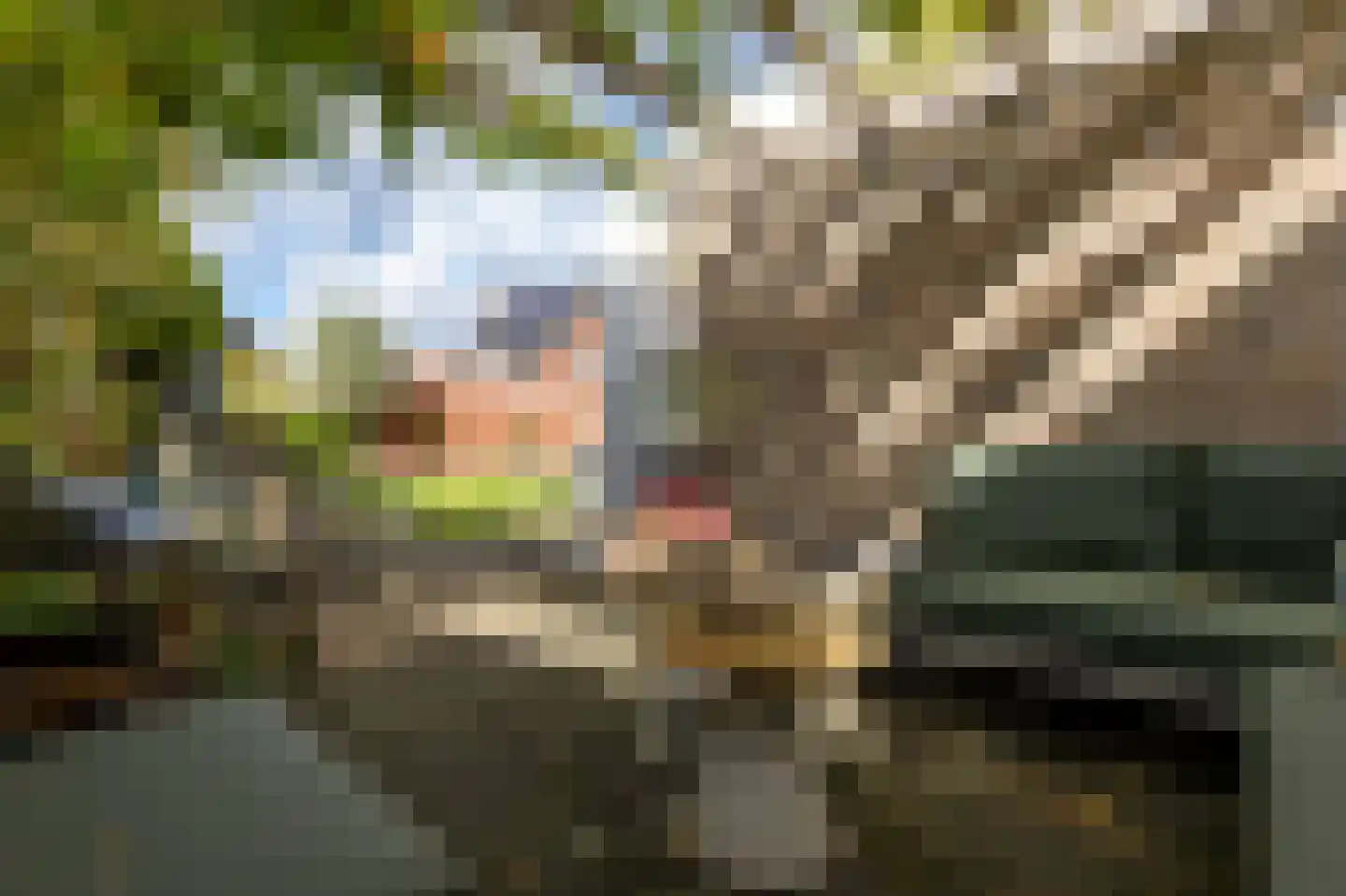 Boomgaard 3 Nieuwendijk thumbnail 66