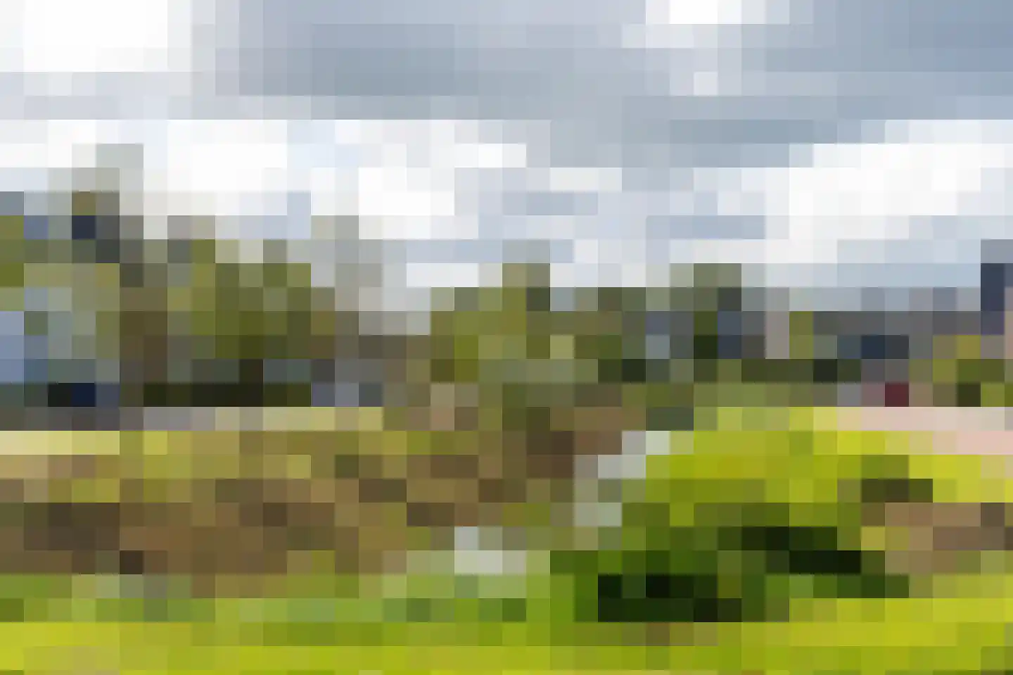 Boomgaard 3 Nieuwendijk thumbnail 75