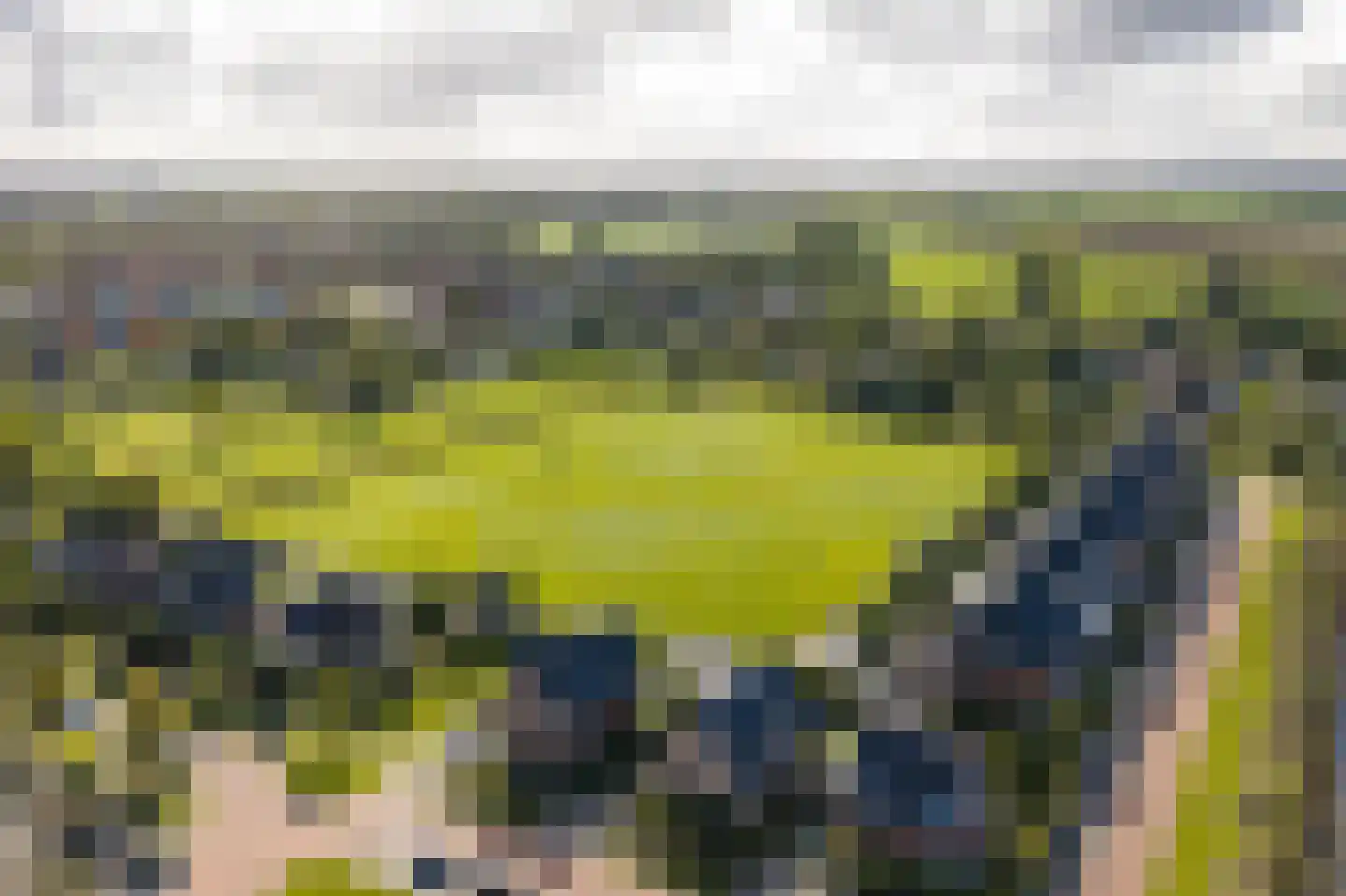 Boomgaard 3 Nieuwendijk thumbnail 77