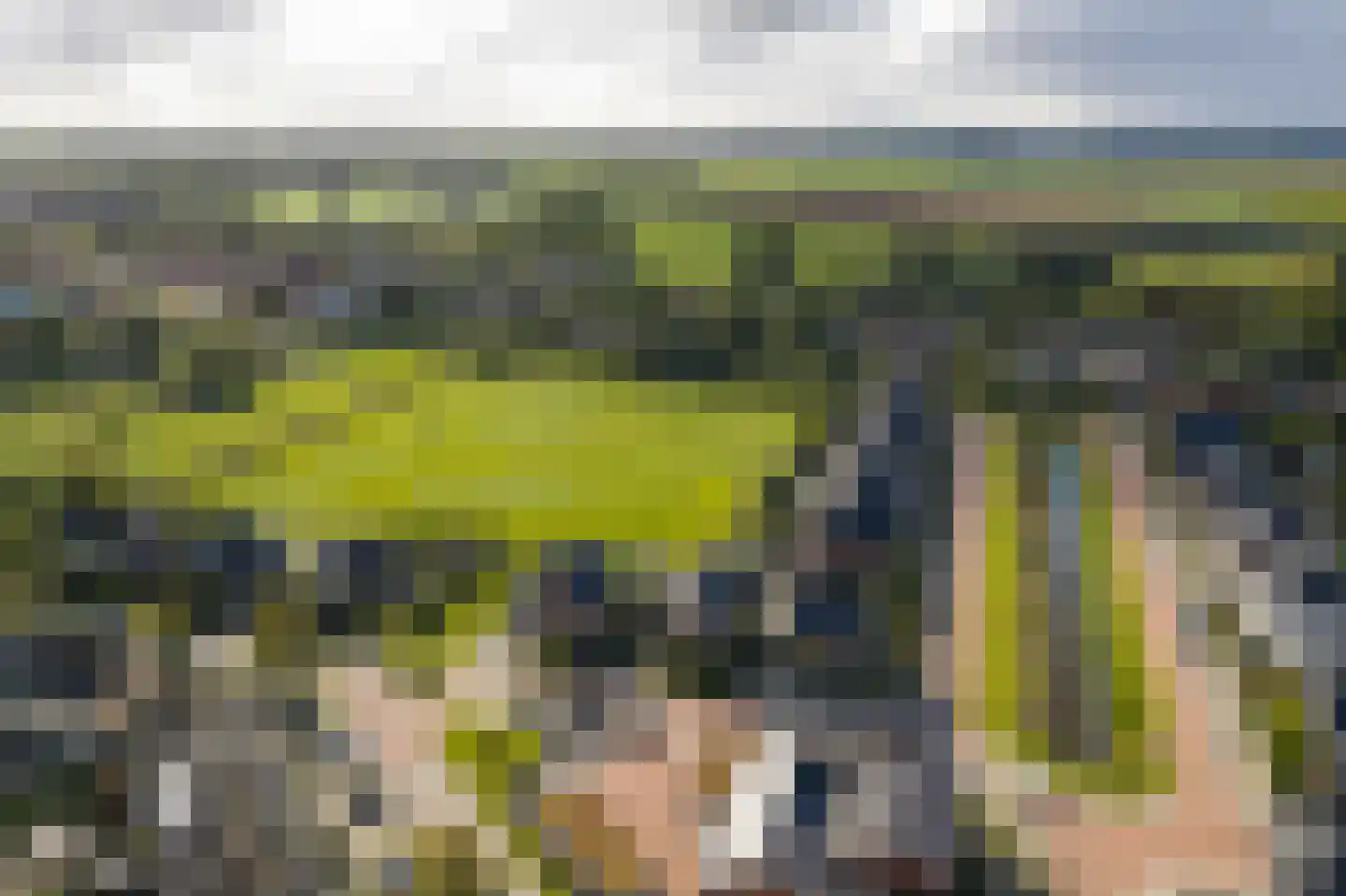 Boomgaard 3 Nieuwendijk thumbnail 78