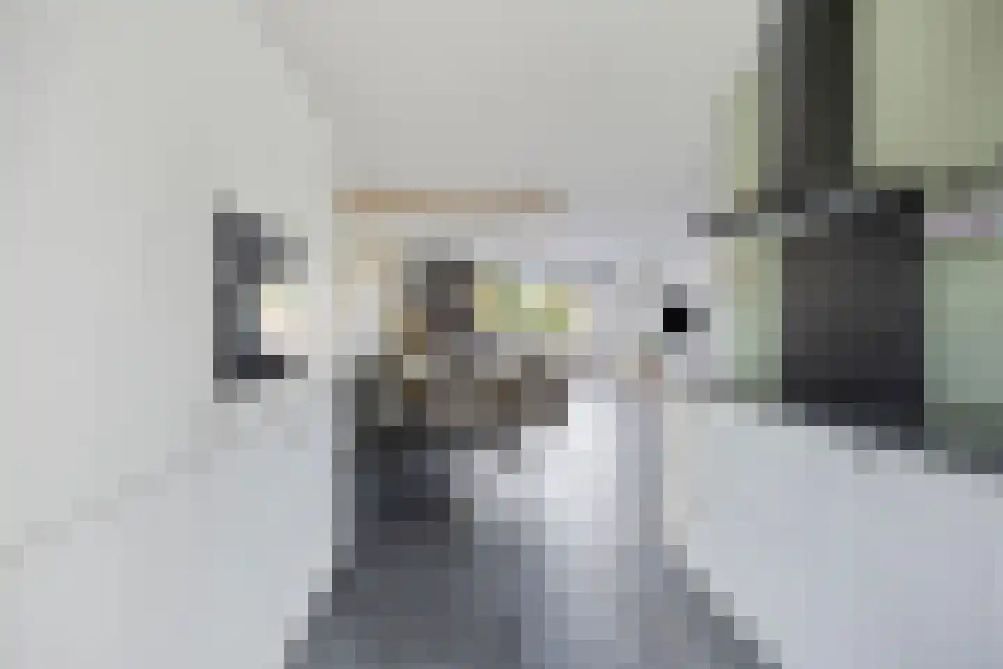 Boomgaard 32 Maasbommel thumbnail 17