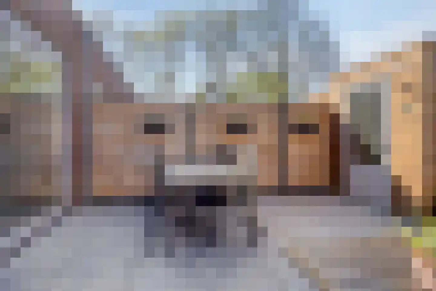 Boomgaard 32 Maasbommel thumbnail 31