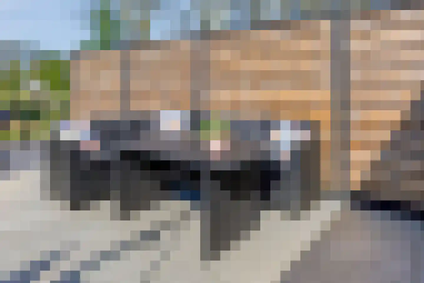 Boomgaard 32 Maasbommel thumbnail 32