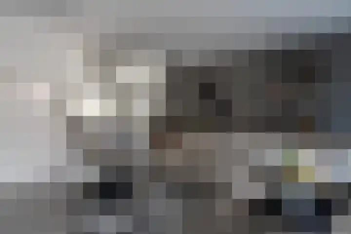 Boomgaard 37 Nieuwendijk thumbnail 11