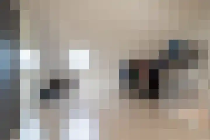 Boomgaard 37 Nieuwendijk thumbnail 26