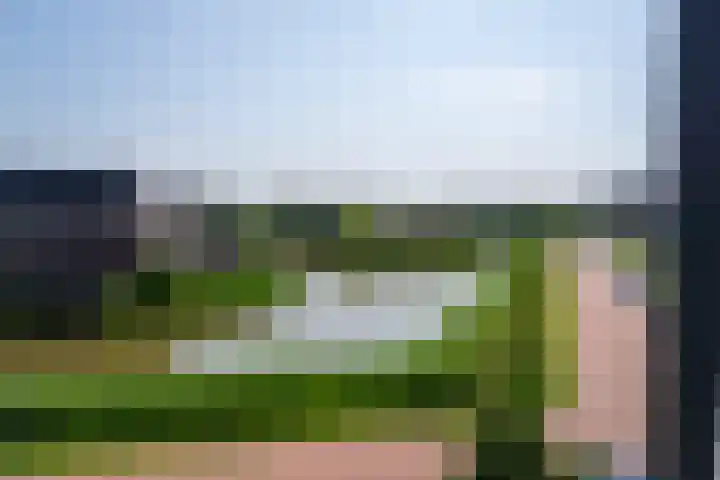 Boomgaard 37 Nieuwendijk thumbnail 27