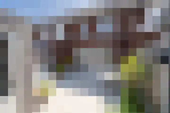 Boomgaard 37 Nieuwendijk thumbnail 30