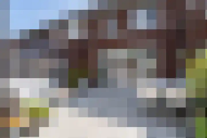 Boomgaard 37 Nieuwendijk thumbnail 31