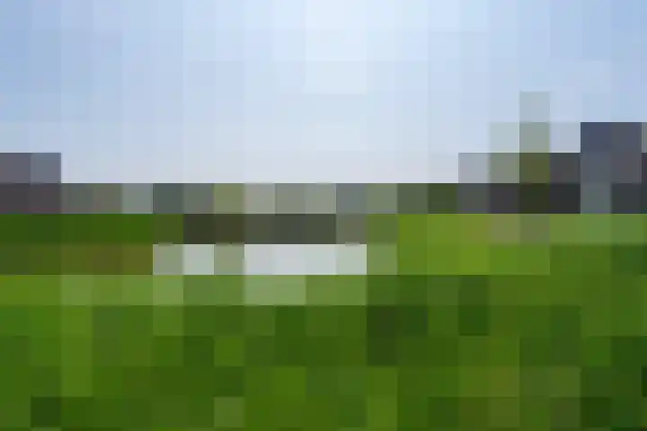 Boomgaard 37 Nieuwendijk thumbnail 4