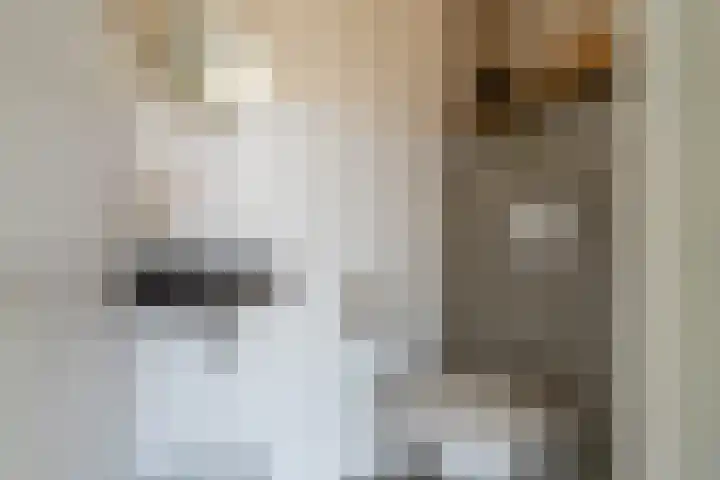 Boomgaard 37 Nieuwendijk thumbnail 7