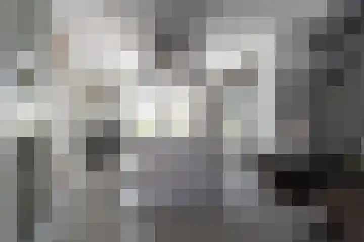 Boomgaard 37 Nieuwendijk thumbnail 8