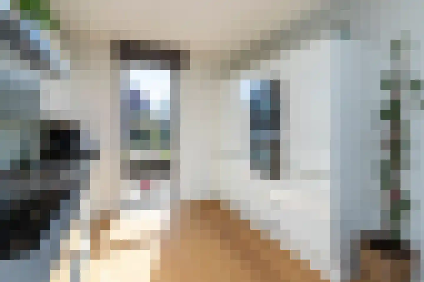 Boomgaard 37 Rijswijk thumbnail 8