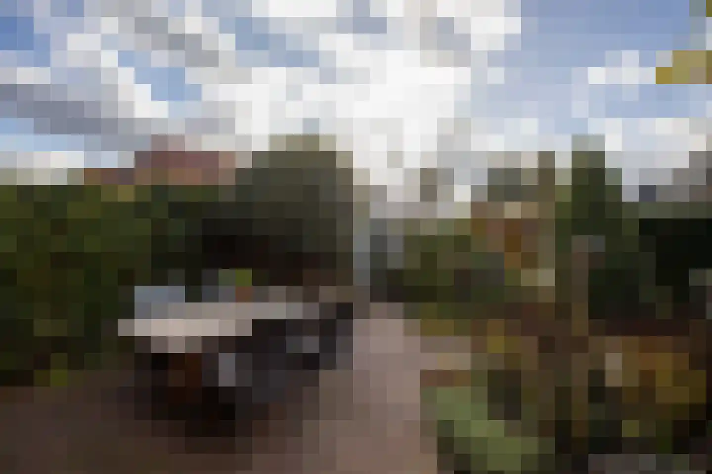 Boomgaard 38 Aalsmeer thumbnail 39