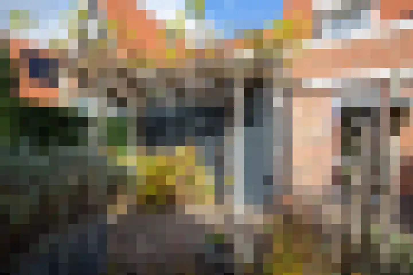 Boomgaard 38 Aalsmeer thumbnail 41
