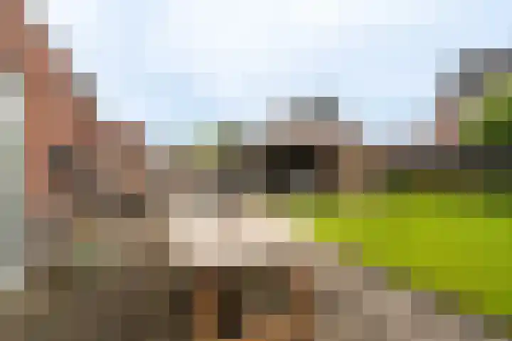 Boomgaard 4 A Hoogezand thumbnail 24