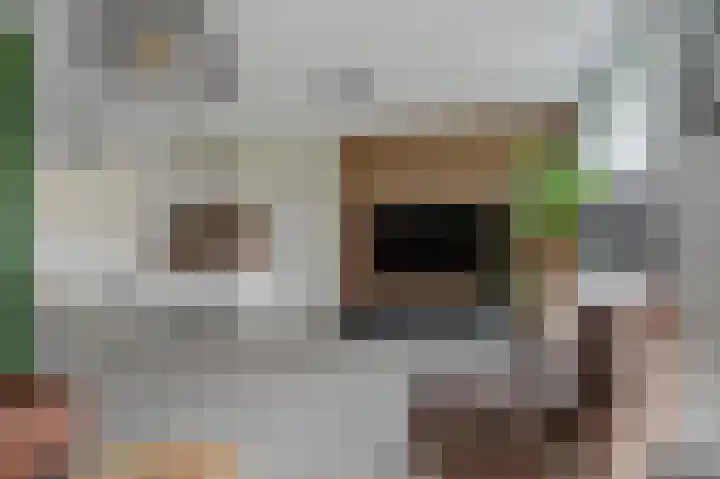 Boomgaard 4 A Hoogezand thumbnail 5