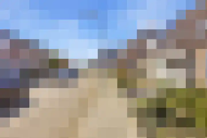 Boomgaard 4 A Koudekerke thumbnail 10