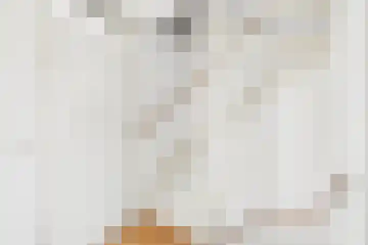 Boomgaard 4 A Koudekerke thumbnail 20