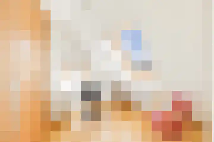 Boomgaard 4 A Koudekerke thumbnail 22