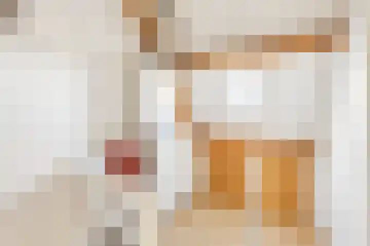 Boomgaard 4 A Koudekerke thumbnail 27