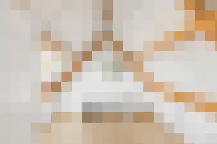 Boomgaard 4 A Koudekerke thumbnail 28