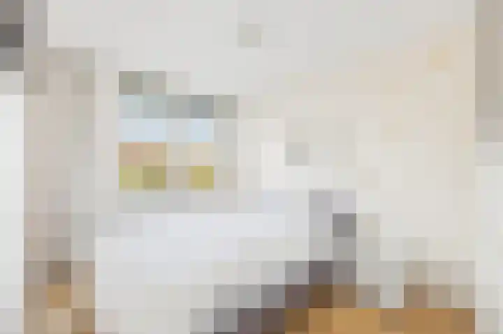 Boomgaard 4 A Koudekerke thumbnail 4