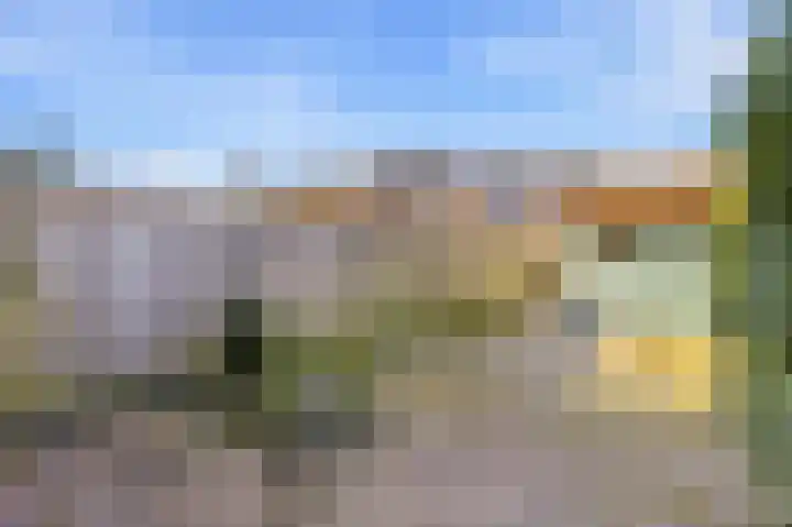 Boomgaard 4 A Koudekerke thumbnail 5