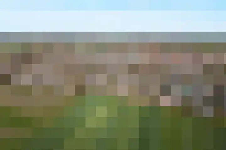 Boomgaard 4 A Koudekerke thumbnail 6