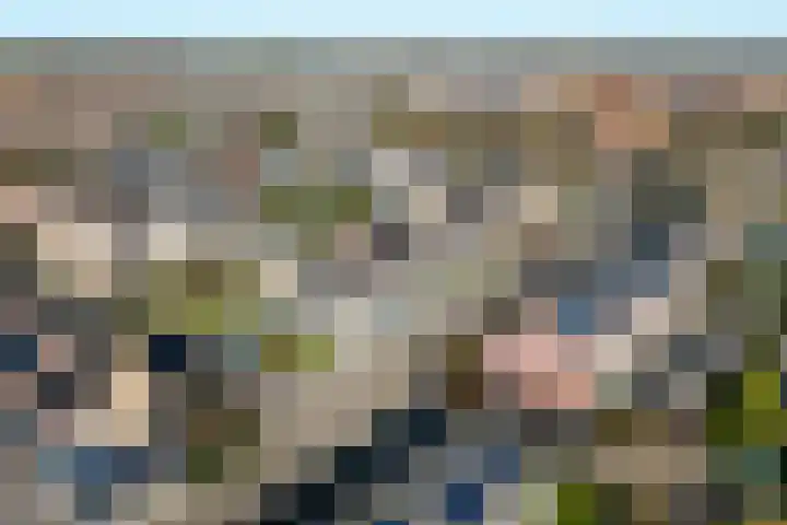 Boomgaard 4 A Koudekerke thumbnail 7