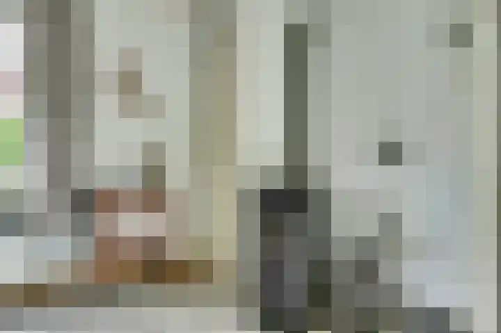 Boomgaard 4 Zuid-Scharwoude thumbnail 10