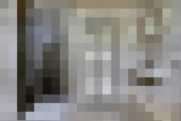 Boomgaard 4 Zuid-Scharwoude thumbnail 20