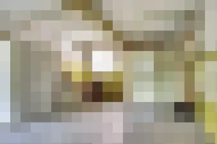 Boomgaard 4 Zuid-Scharwoude thumbnail 22
