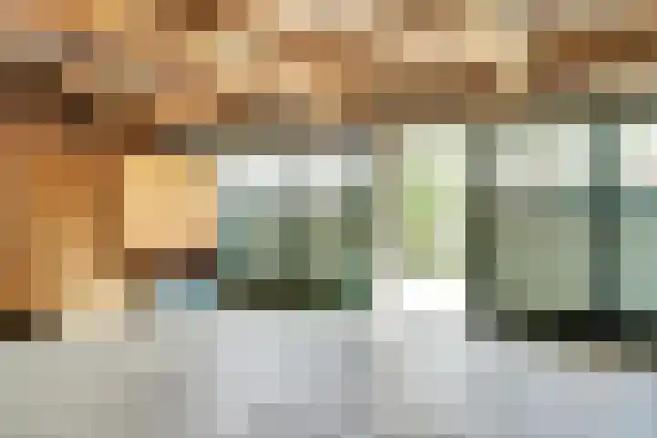 Boomgaard 4 Zuid-Scharwoude thumbnail 27